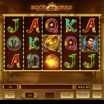 OnlyWin - Book of Dead Slot Game - Play'n GO Pokie