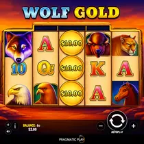 OnlyWin - Wolf Gold Slot Game - Pragmatic Play Pokie